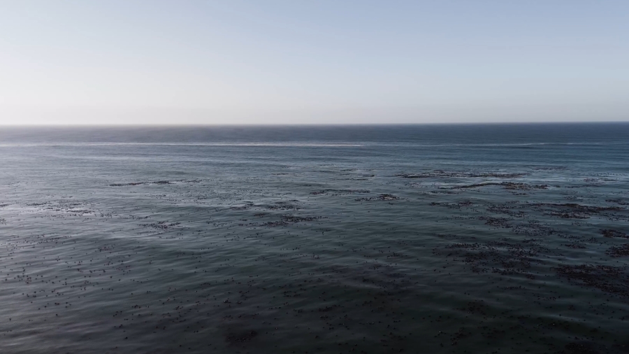 0 Bedroom Property for Sale in Bettys Bay Western Cape
